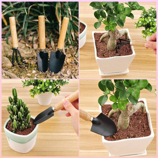 3 Piece Mini Gardening Tools Set